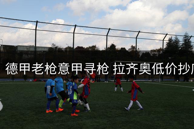 德甲老枪意甲寻枪 拉齐奥低价抄底西汉姆失意锋霸